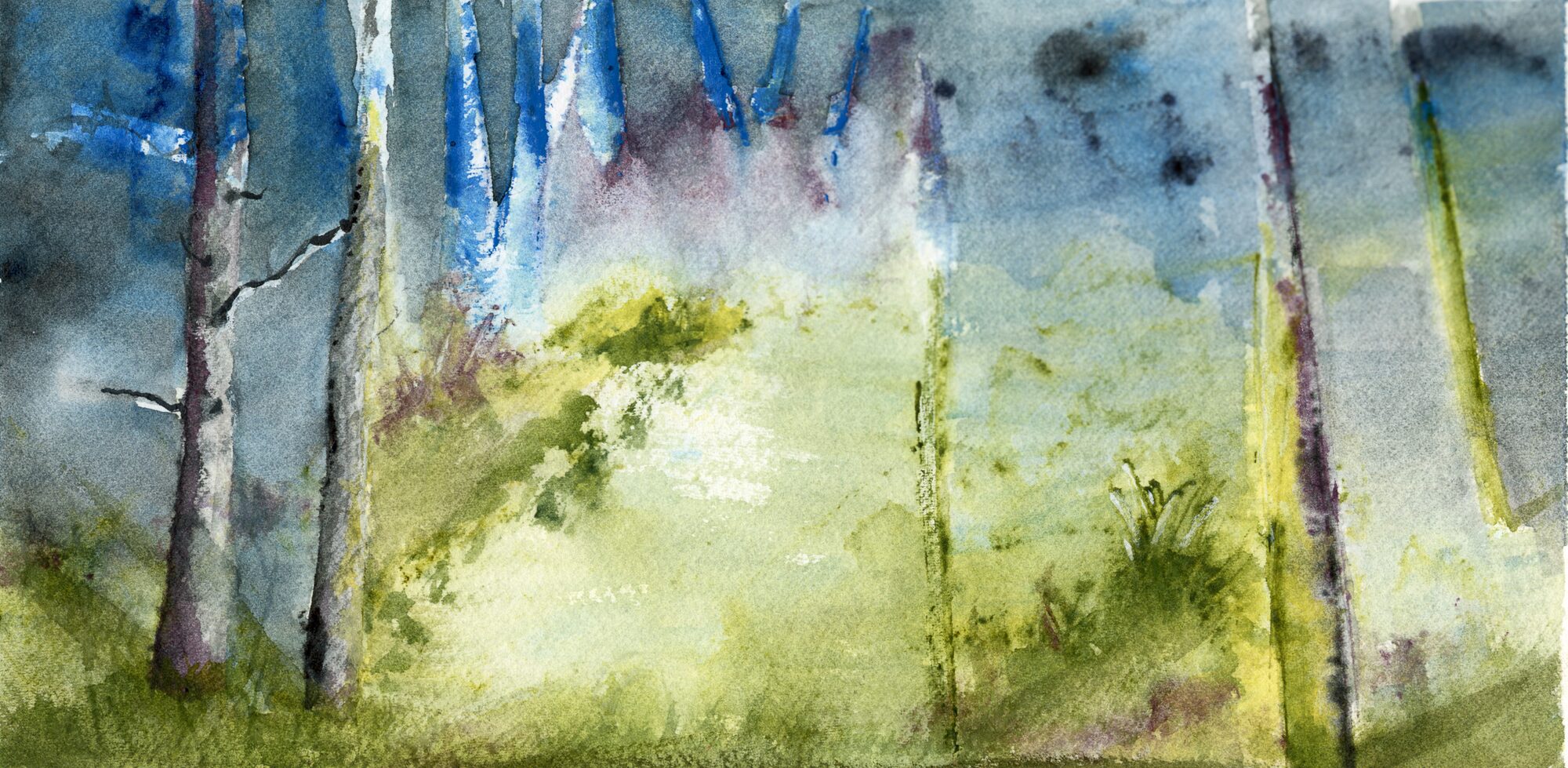 thin tree trunks in a misty blue forest, opening onto a glowing yellow-green clearing