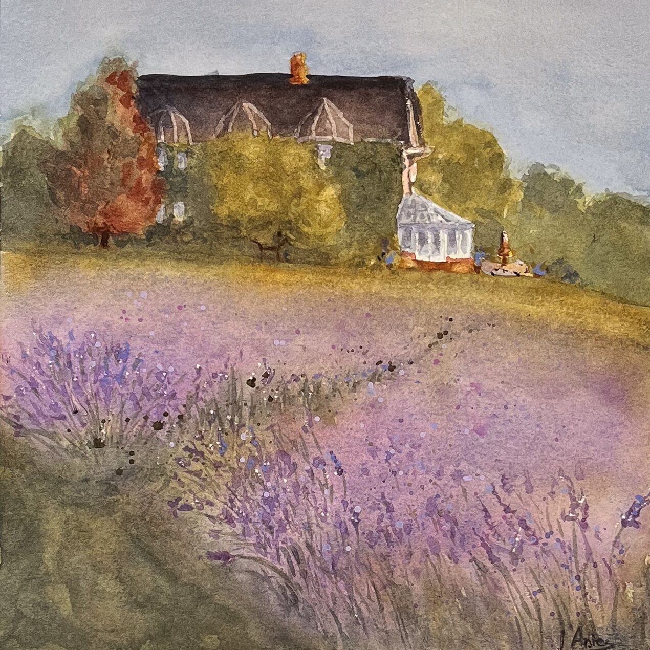 a purple lavender field in bloom, with a countryside house and white sunroom framed by trees