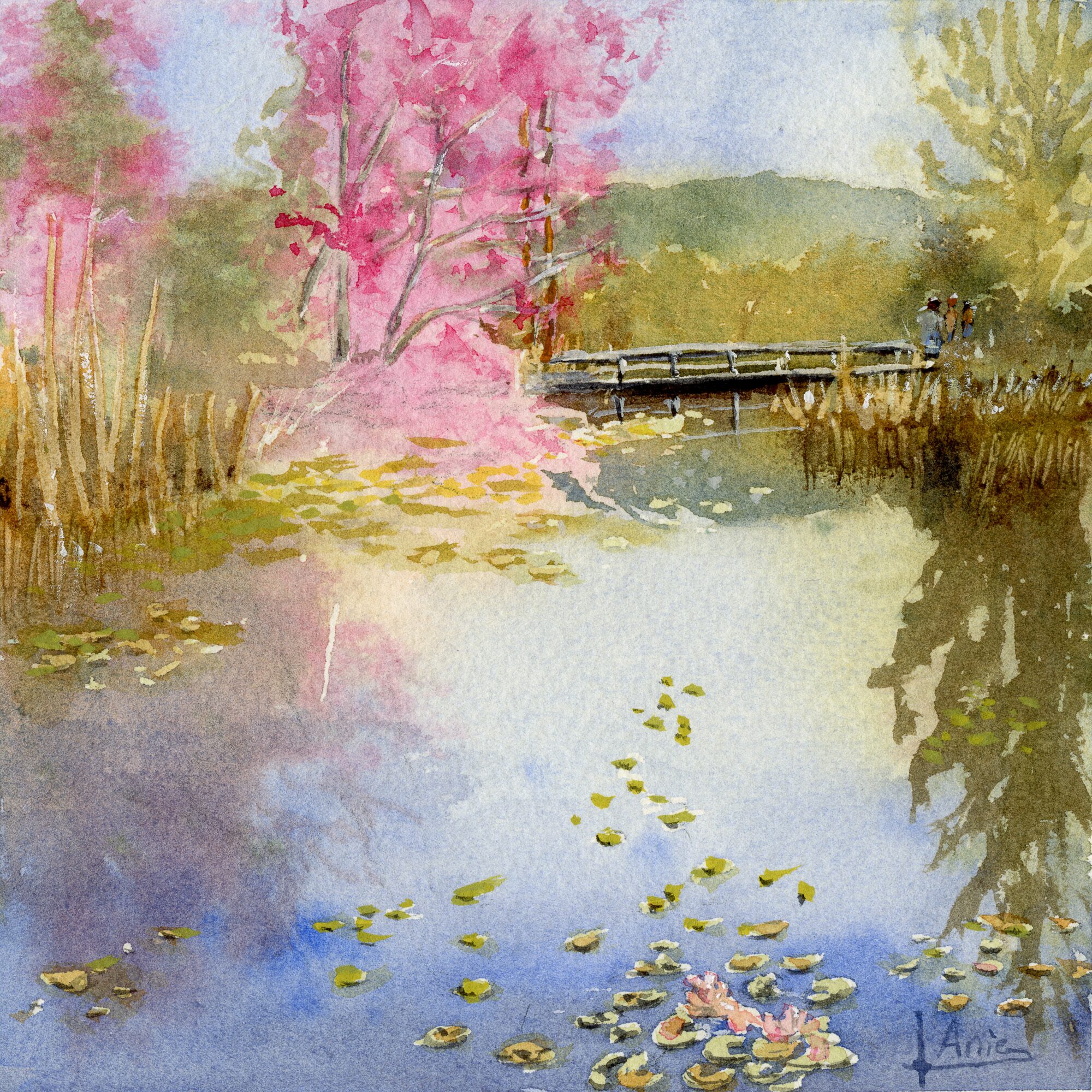 a still pond dotted with waterlilies, a blossoming pink tree at left beside a footbridge where people cross, a muted green tree line beyond