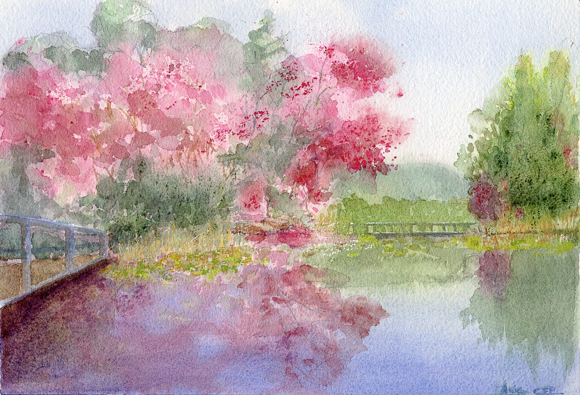 Through the Seasons — paintings by Claudia Fernandez
